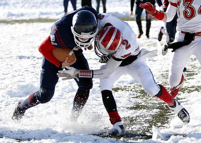 起新一轮的 起新一轮的