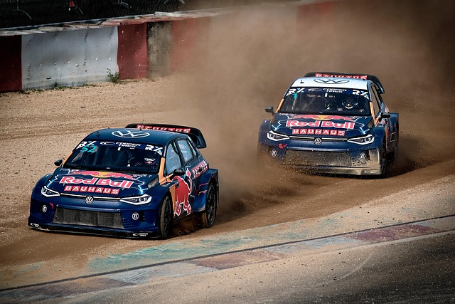 疑是運動員 疑是運動員