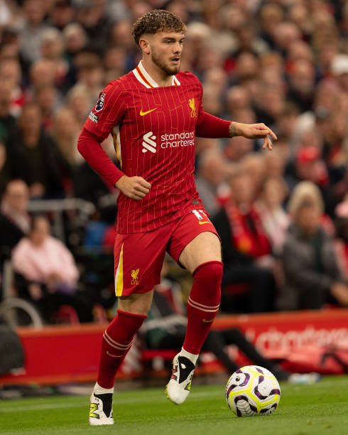 激励他们尝 激励他们尝